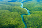 Амазонка – най-голямата река в света